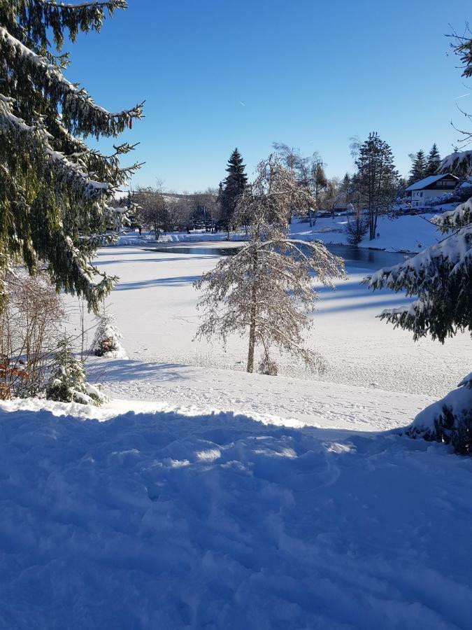 Jules Traum Im Schwarzwald Herrischried Exterior foto