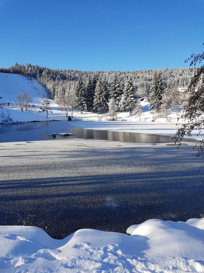 Jules Traum Im Schwarzwald Herrischried Exterior foto