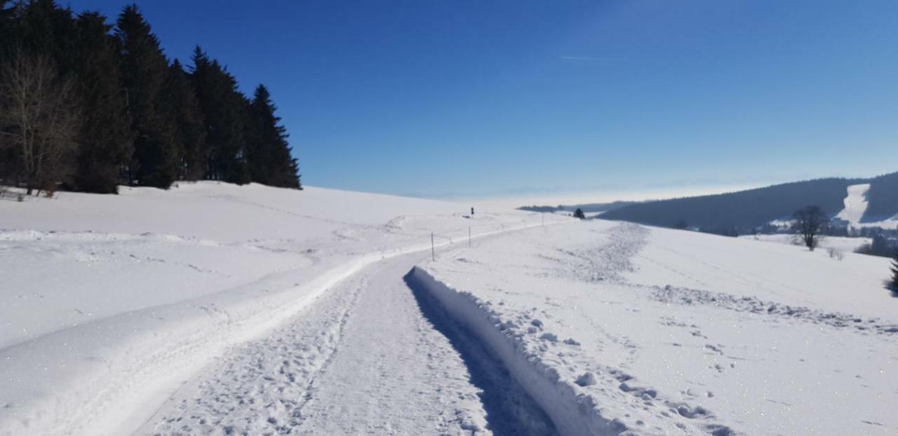 Jules Traum Im Schwarzwald Herrischried Exterior foto