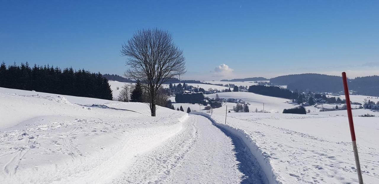 Jules Traum Im Schwarzwald Herrischried Exterior foto